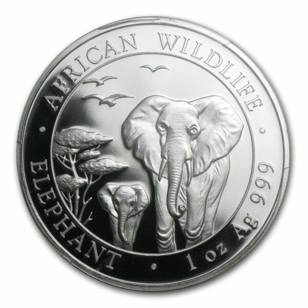 2015 Somalia 1 Ounce African Elephant Silver Coin PCGS MS-69 First Strike