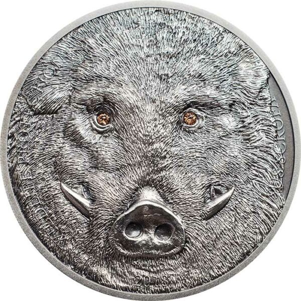 2018 Mongolia 1 Ounce Wildlife Protection Wild Boar Sus Scrofa High Relief Silver Coin - Art in Coins