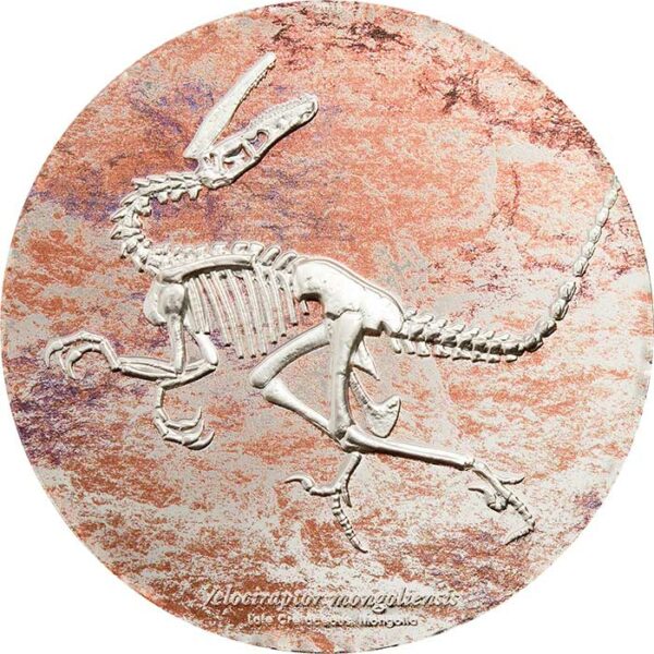 2018 Mongolia 3 Ounce Velociraptor Mongoliensis Fossil High Relief Silver Coin - Art in Coins