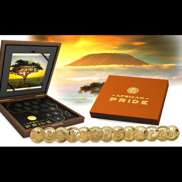 2019 African Pride 13 Nation 13 X 1/2 Gram .9999 Proof Gold Coin Collection