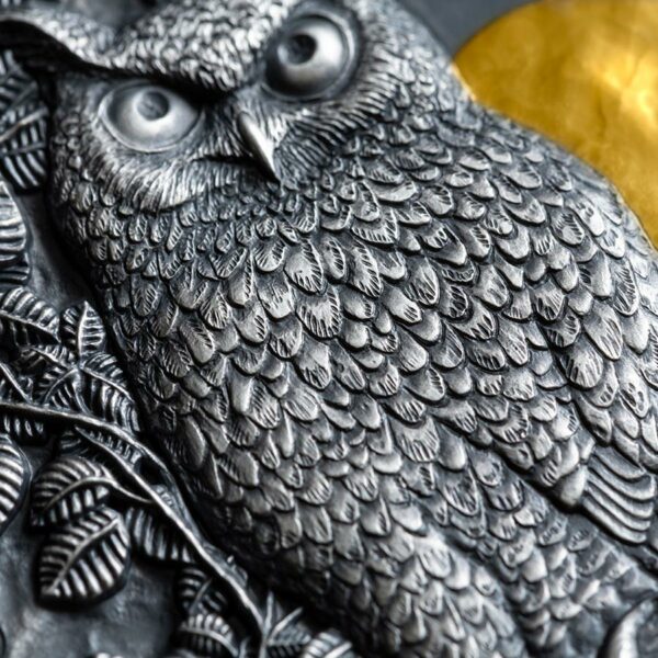 Asio Otus Long Eared Owl Silver Coin