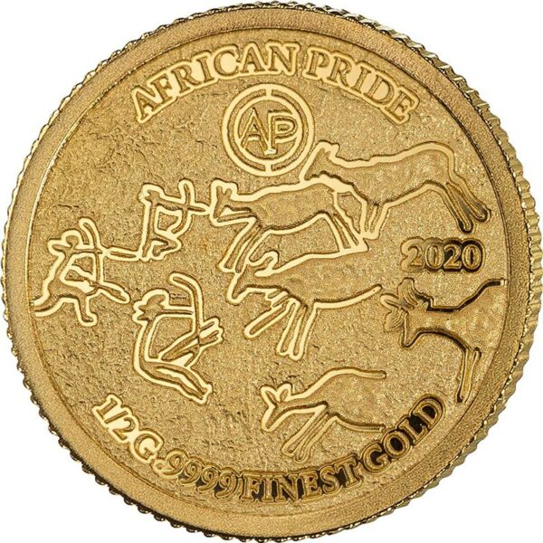 2020 African Pride 7 X 1/2 Gram Cradle of Humankind Gold Coin 3