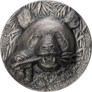2020 Ivory Coast 1 Kilogram De Greef Panda Haut Relief Silver Coin