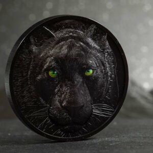 Hunters by Night Black Panther Obsidian Black Silver Coin