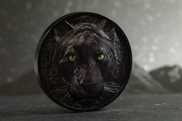 Hunters by Night Black Panther Obsidian Black Silver Coin