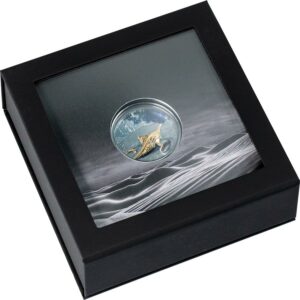Magical Lamp - 1010 Nights Black Proof Silver Coin