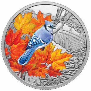 2021 Canada 1 Ounce Colorful Birds Blue Jay Color Silver Proof Coin