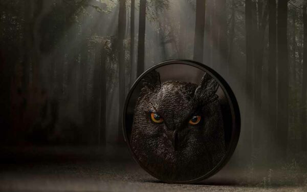 Hunters by Night Eagle Owl Obsidian Black Silver Coin