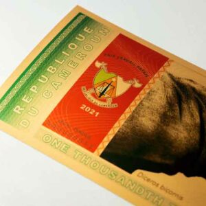 Cameroon Black Rhinoceros 24K Gold Aurum Bank Note