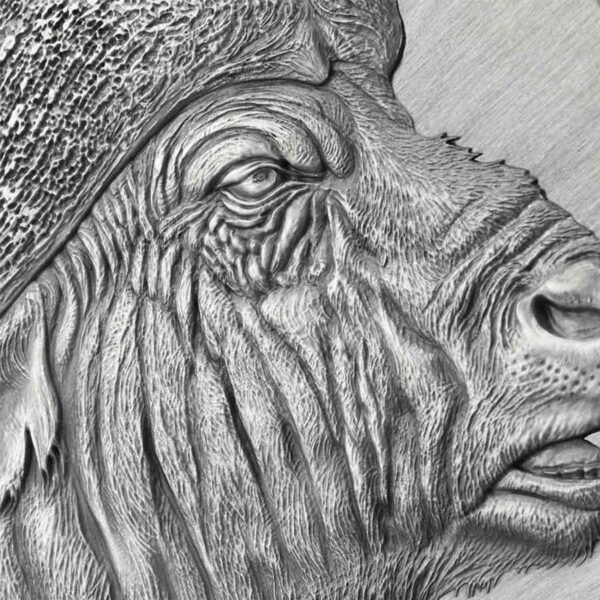 2022 Cameroon 2 oz African Buffalo Expressions of Wildlife High Relief Antique Finish Silver Coin