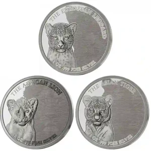 2024 Congo 3 X 1 Ounce Baby Wildcats Silver Proof Coin Collection